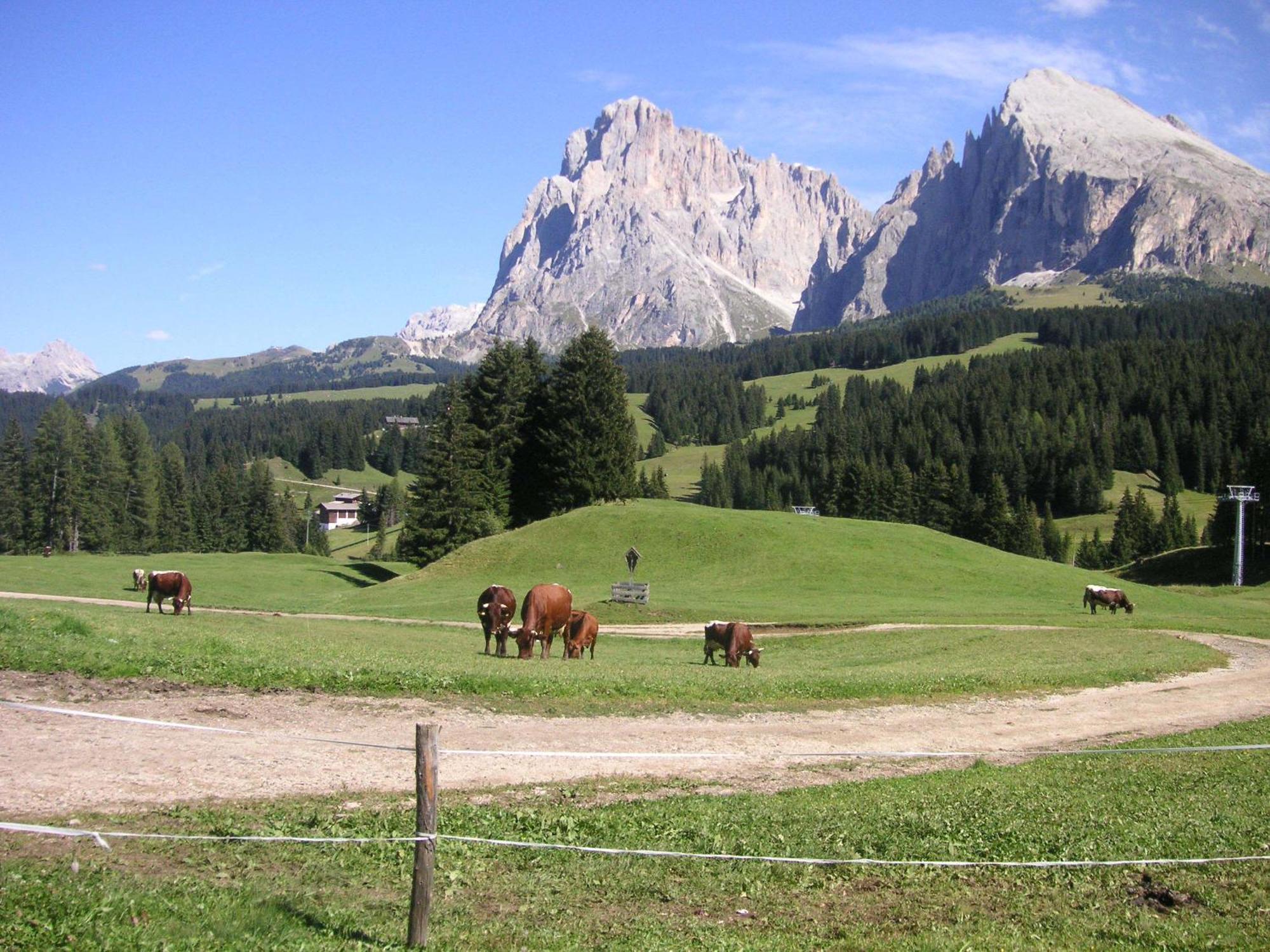 Hotel Flora Selva di Val Gardena Kültér fotó